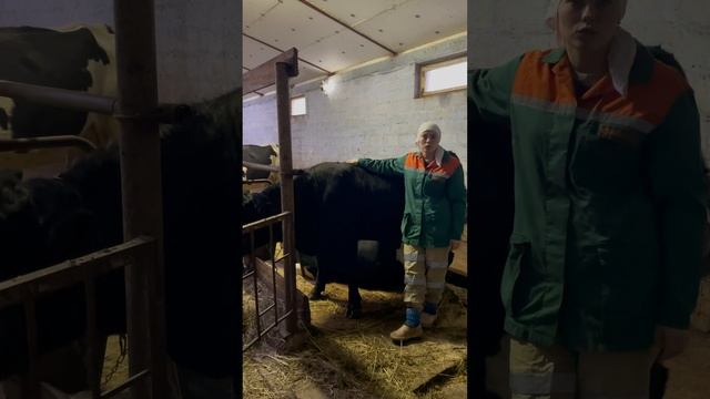 НАШЕ ЗНАКОМСТВО С ВАМИ❤️ смотреть онлайн