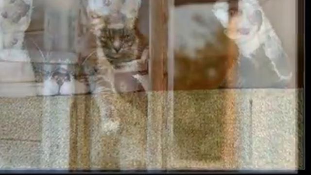 Секреты успешного благосостояния