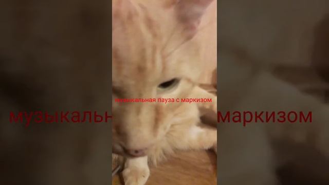 Дед готовит винегрет