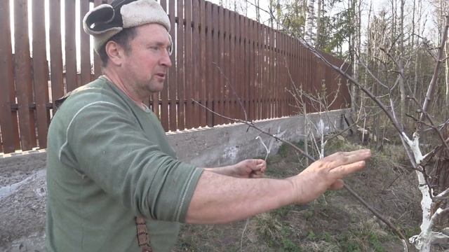 ФОРМИРОВАНИЕ КРОНЫ ДЕРЕВА | ОТГИБ ВЕТОК смотреть онлайн