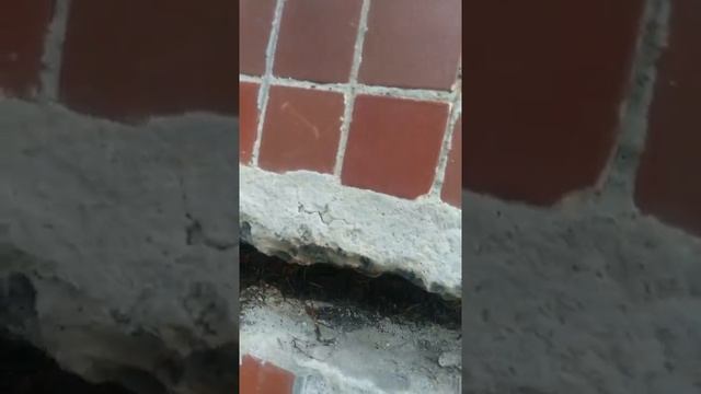 Ремонт межпанельных швов г.Ульяновск,что внутри шва. смотреть онлайн