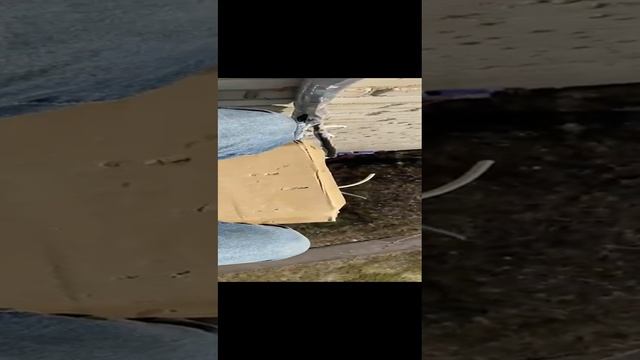 VID-20230409-WA0000.mp4