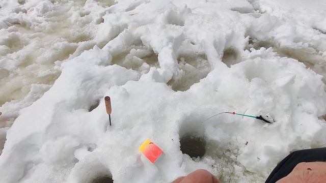 Эта КОРЯГА забита МОРСКОЙ - ПЛОТВОЙ. Лучшая РЫБАЛКА в этом ГОДУ! смотреть онлайн
