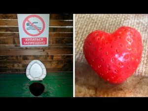 Фото подписчиков Фактории (125 часть)