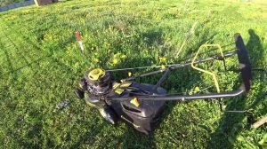 Спустя год. Обзор газонокосилки Champion LM5131.