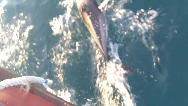 Черное море Адлер 2 мая 2018 смотреть онлайн