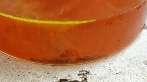 золото и перекись водорода .