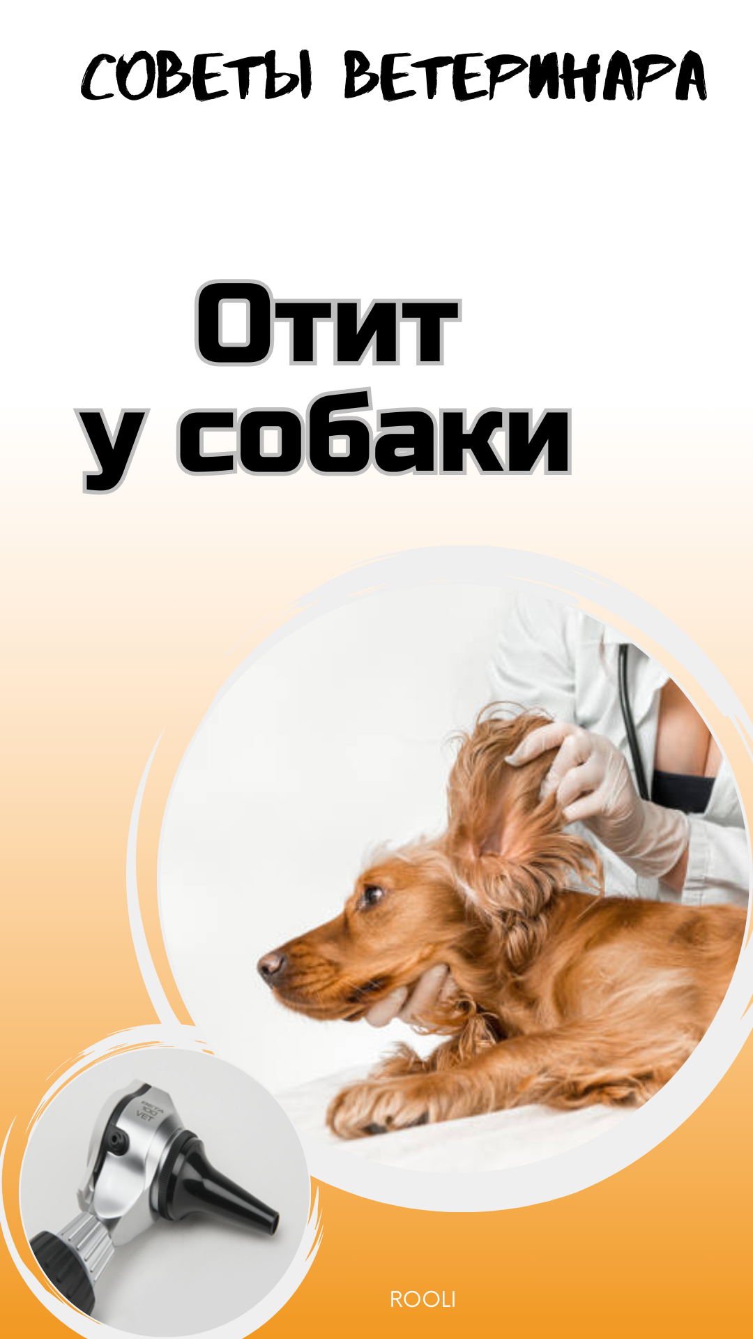 Отит у собаки. смотреть онлайн