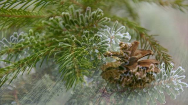 Какие дни 2022 года будут для вас самыми удачными: определяем по дате рождения смотреть онлайн