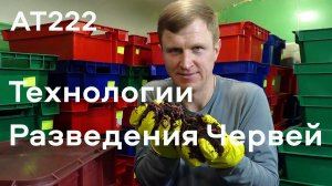 АТ222 Технологии разведения червей