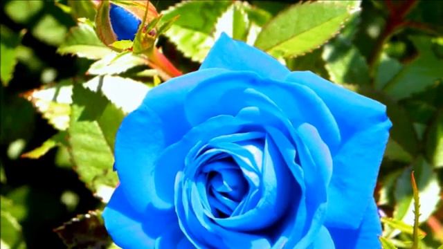 Интеграция всех ваших тел. Практика.