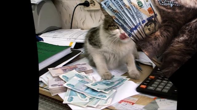???Супер медитация на деньги с котами! смотреть онлайн