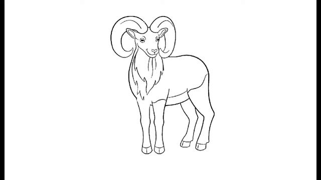 Как нарисовать Горного барана. Раскраска Горный баран для детей смотреть онлайн