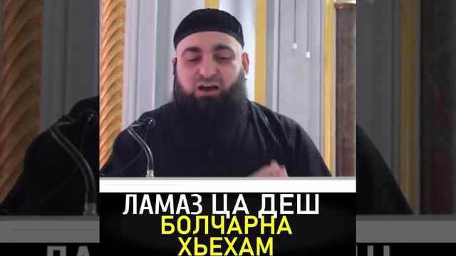 УМАР ХЕХОЕВ ЛАМАЗ ЦА ДЕШ БОЛЧАРНА ХЬЕХАМ смотреть онлайн