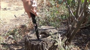 Витязь от ООО ПП Кизляр, полный обзор и тесты!