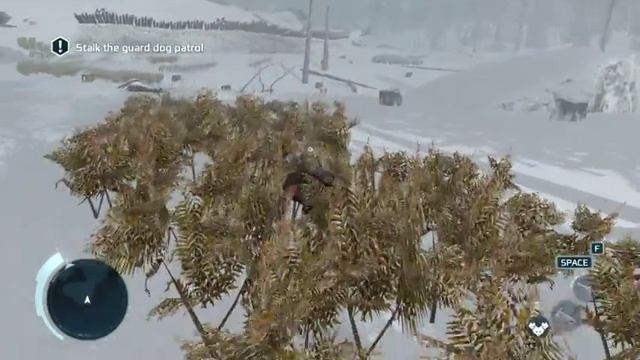 Assassin's Creed III: The Tyranny of King Washington mission bug- Stalk the Guard Dog Patrol glitch смотреть онлайн