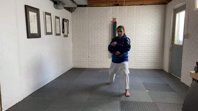 Self training 3 - imaginary opponent #shotokan #iskf