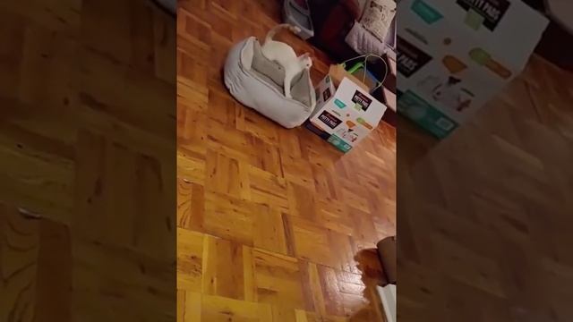 Когда пытаешься совместить комфорт и удобство