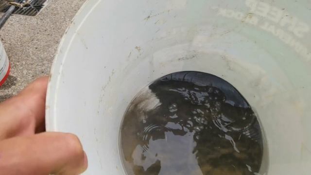 золото на пляже, черный шлих-золото как найти смотреть онлайн