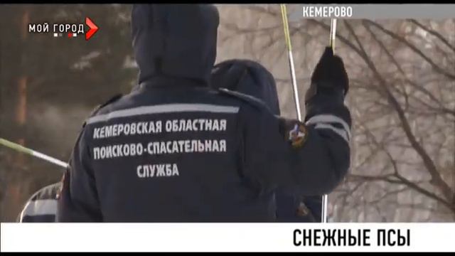 Снежные псы смотреть онлайн