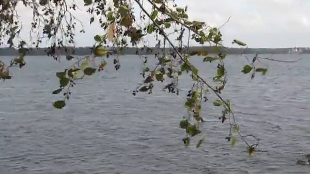 НП "Валдайский" Валдай в октябре смотреть онлайн