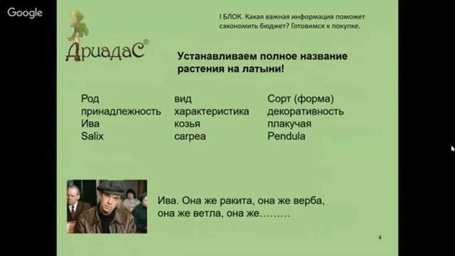 Экономим бюджет при выборе посадочного материала | Вебинар 16.11 от студии «ДриадаС» смотреть онлайн