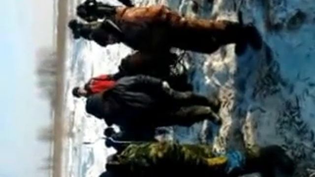 ЗАМОР РЫБЫ В ИВАНОВСКОМ ПЕРЕСЛАВСКОГО РАЙОНА смотреть онлайн