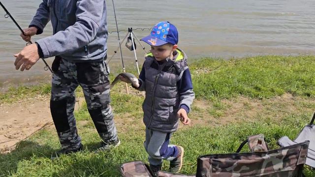 Рыбалка на фидер 2023. Крупный подуст и мелкий рыбец. День отца в Германии. смотреть онлайн