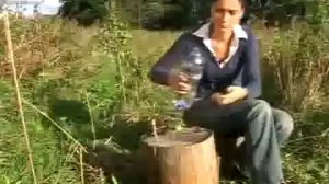 Калган применение, лечебные свойства калгана на www.травами-лечение.рф