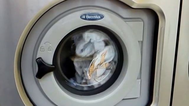 Electrolux W3105H Exacta Laundry system 6.5 kg смотреть онлайн