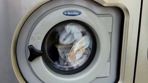 Electrolux W3105H Exacta Laundry system 6.5 kg