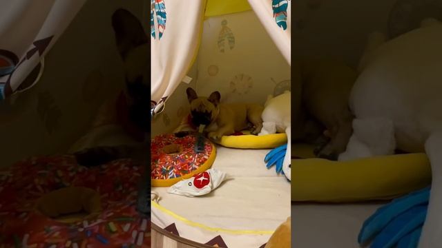 ? Рум тур по дому