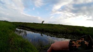 Загляни в мою коробку! NORIES ZAG BAG