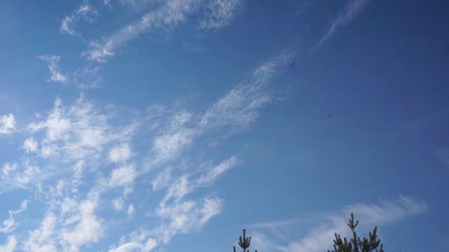 О музыка ...
Видеопоэзия. Читает автор А. Шведун. Видео, монтаж, соло-гитара О. Дзиов. смотреть онлайн
