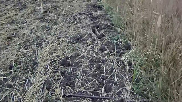 Краснодарский фазан смотреть онлайн