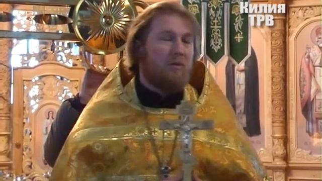 Освящение креста Свято - Дмитриевского храма. смотреть онлайн