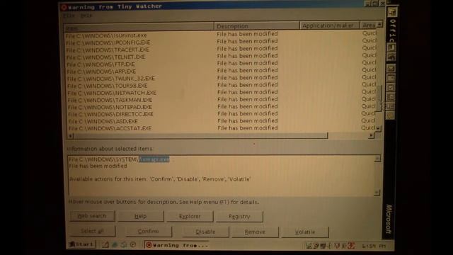 Viral Rewind: Virus.Win9x.Shoerec