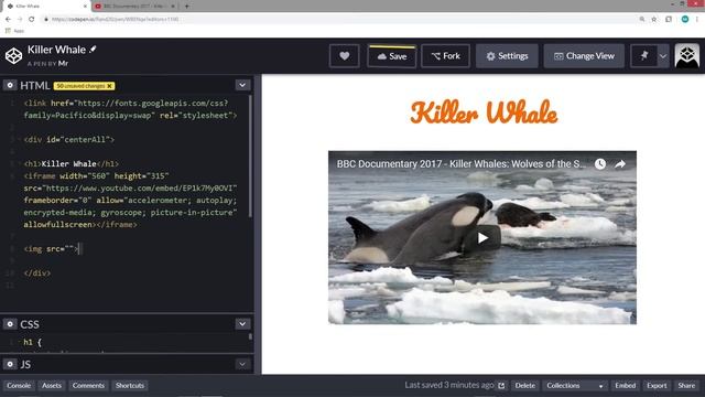 Lesson 19 - Codepen: Add Video & Pictures смотреть онлайн