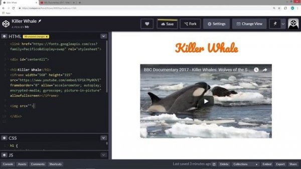 Lesson 19 - Codepen: Add Video & Pictures