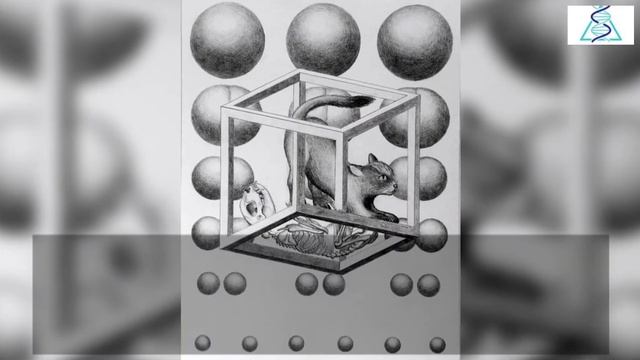 Schrodinger’s Cat Explained смотреть онлайн