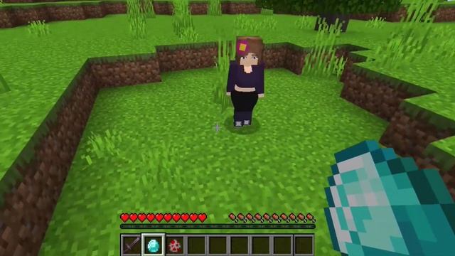 JENNY Mod For Minecraft Pocket Edition 1.20 | JENNY ADDON смотреть онлайн