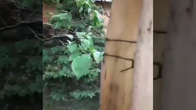 НЕ ПРИКОЛ! Качественная защита!! ГРАНАТА 100% защита от ВОРА на даче! смотреть онлайн