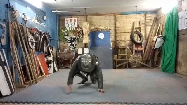 Тренировки у Хранителей