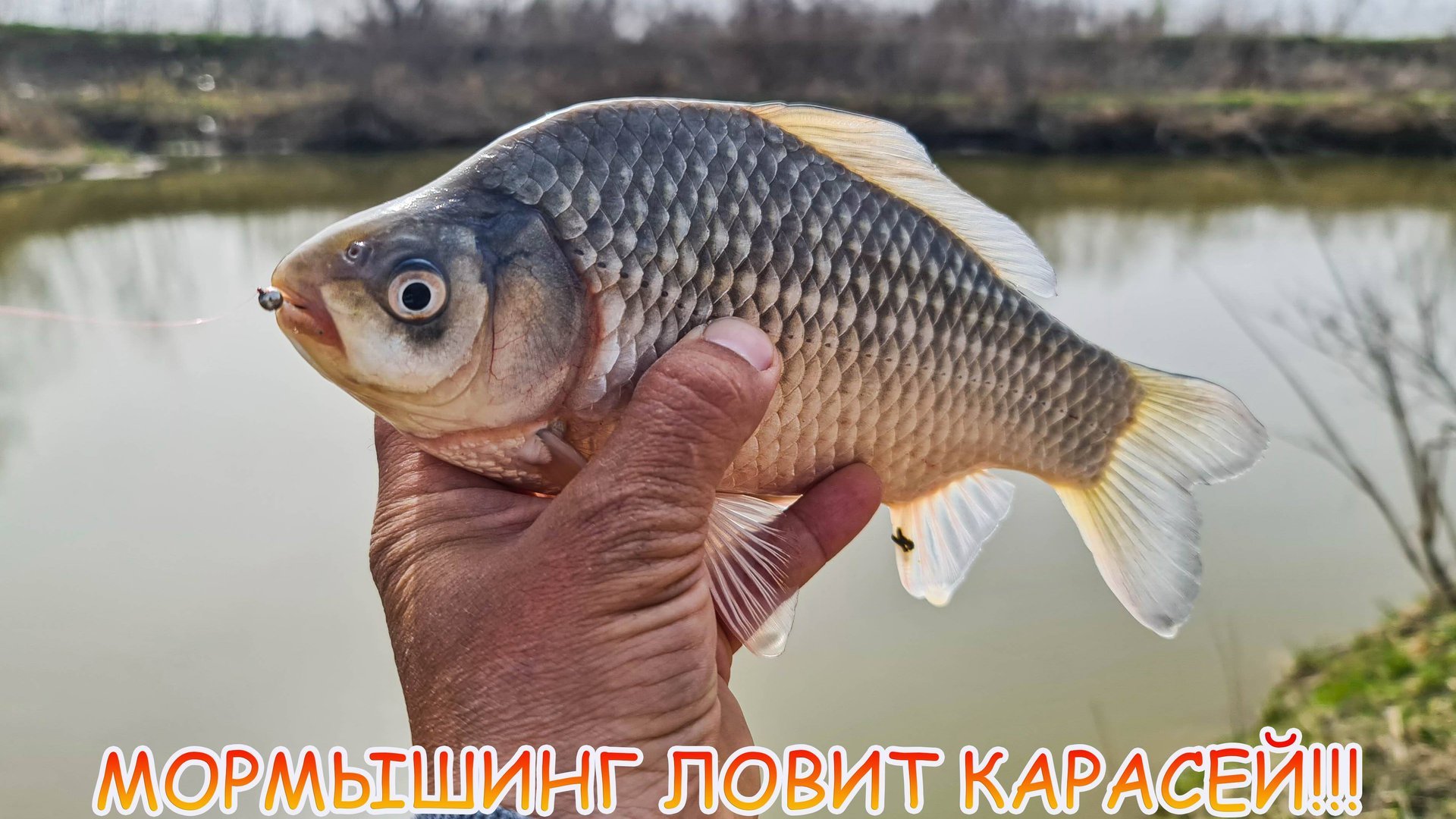 МОРМЫШИНГ ловит карасей!!! Как ловить на мормо? смотреть онлайн