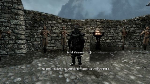 Skyrim Roleplay 