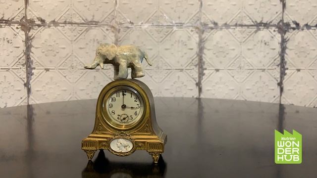 Sing Along with Nutrien Wonderhub – Hickory Dickory Dock смотреть онлайн