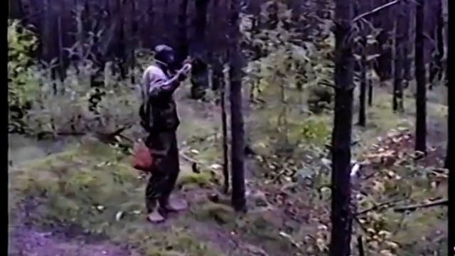 Рядовки Серые, Подзеленки. Подберезовики смотреть онлайн