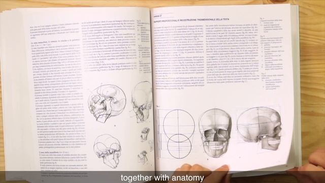 Anatomy and Life Drawing Books for Artists смотреть онлайн