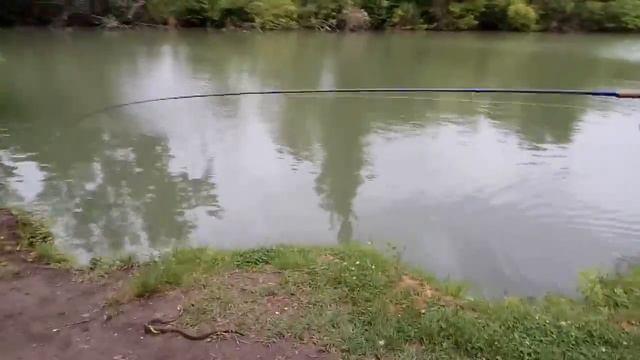 Рыбалка в Краснодаре (Улов которого не ожидали) смотреть онлайн