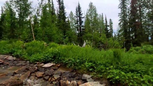 завершение экспедиции на плато кваркуш. Часть 2, финал. смотреть онлайн